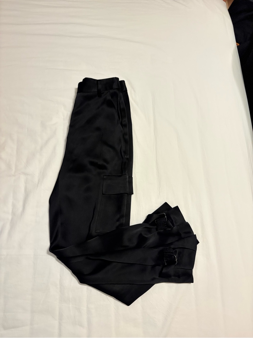 Babaton Refined Satin Cargo Pants